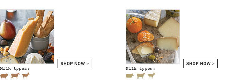Types of Cheese Types of Cheese