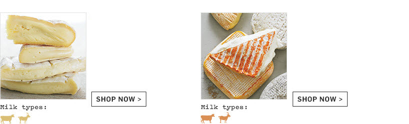 Type of Cheese Type of Cheese