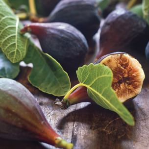 All About Figs