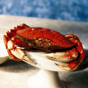 Crab Glossary