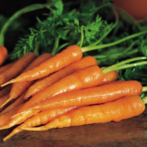 All About Autumn Root Vegetables