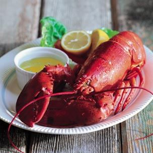 All About Lobster