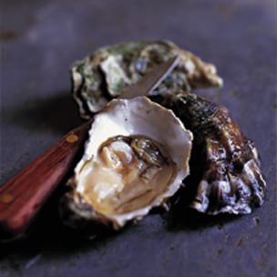 All About Oysters