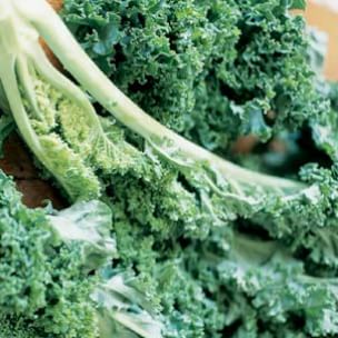 A Glossary of Winter Greens