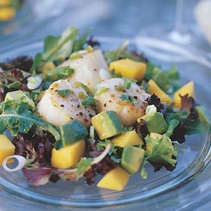 Scallop, Mango and Avocado Salad