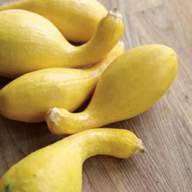 All About Summer Squash