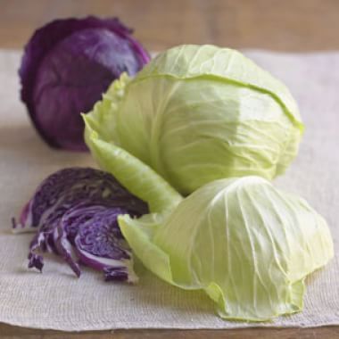 All About Cabbage
