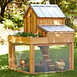 Chicken Coops &amp; Backyard Chicken Coops | Williams-Sonoma