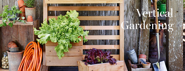 Vertical Gardening