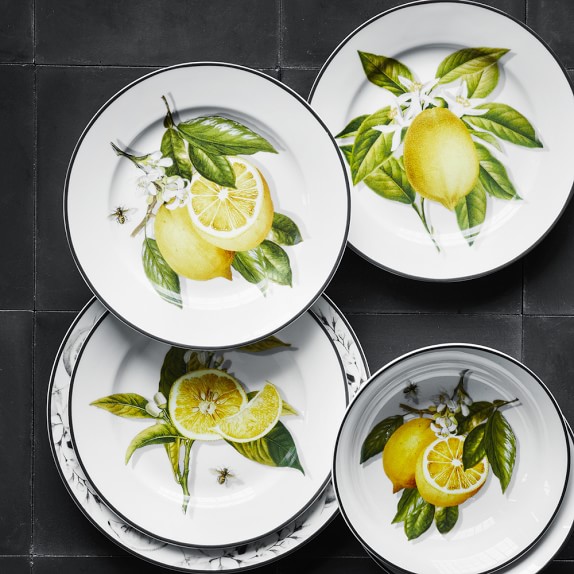 Citrus Salad Plates, Mixed Set of 4 Williams Sonoma