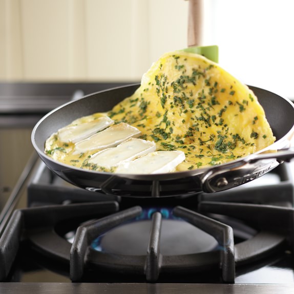 AllClad d5 StainlessSteel Nonstick Omelette Pan Williams Sonoma