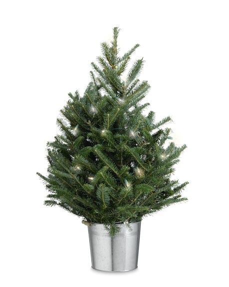 tabletop tree with lights williams sonoma tabletop tree with lights williams sonoma