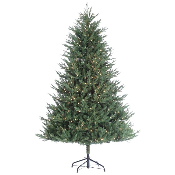 Faux Lighted Kentucky Fir Christmas Tree Williams Sonoma