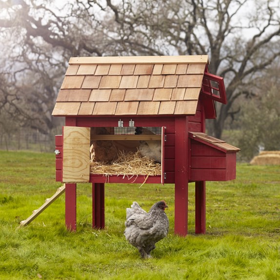 Sonoma Chicken Coop & Run Williams Sonoma