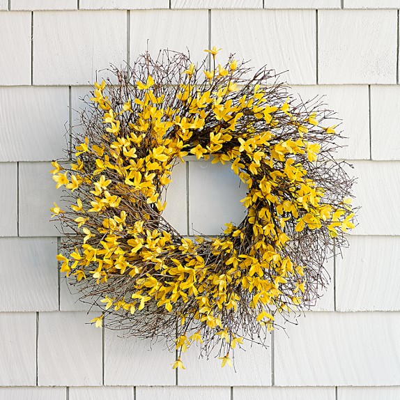 Forsythia Wreath | Williams Sonoma