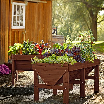 VegTrug™ Raised Beds | Williams Sonoma