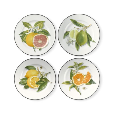 Citrus Salad Plates, Mixed Set of 4 | Williams Sonoma